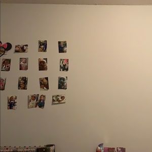 Meet your Posher, Rosa